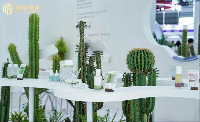 下中国化妆品市场呈现这些趋势pg电子试玩入口全球化背景(图12)